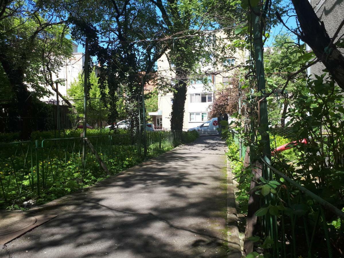 Central Place Apartment Тімішоара Екстер'єр фото