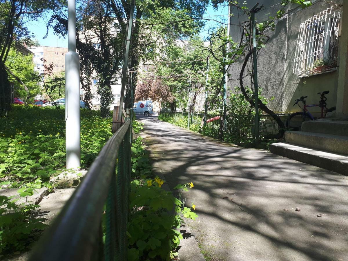 Central Place Apartment Тімішоара Екстер'єр фото