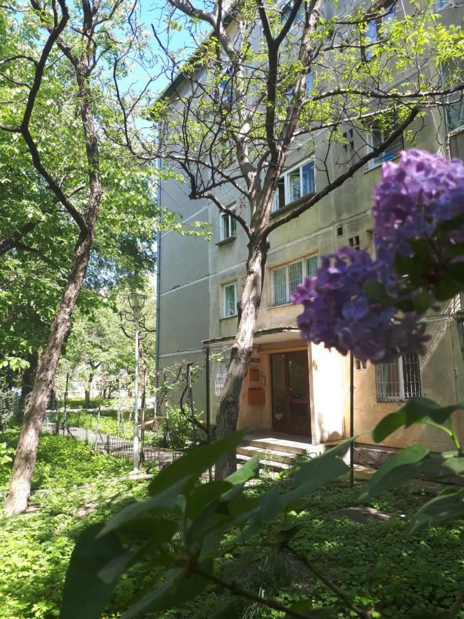 Central Place Apartment Тімішоара Екстер'єр фото